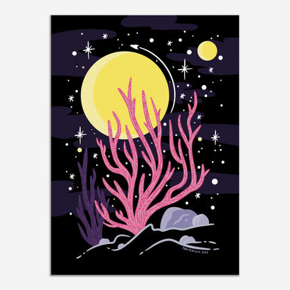 5"x7" Print - Branching